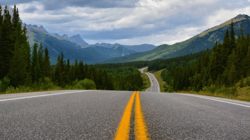 La vocación como un camino artículo