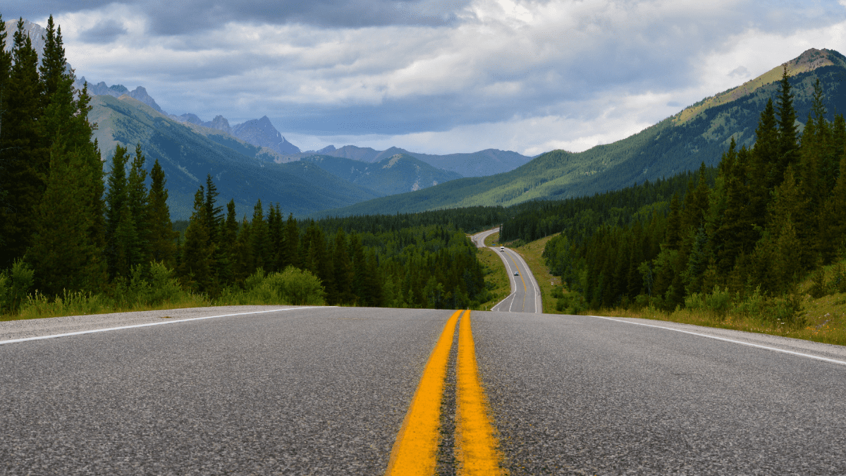 La vocación como un camino artículo